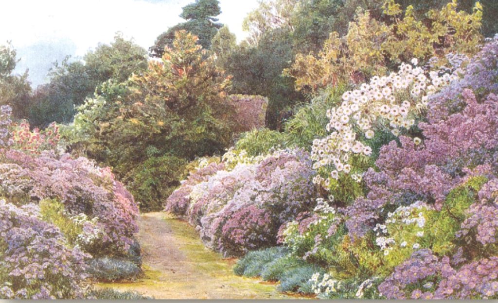 Museum Events & Exhibitions Potters Bar Museum