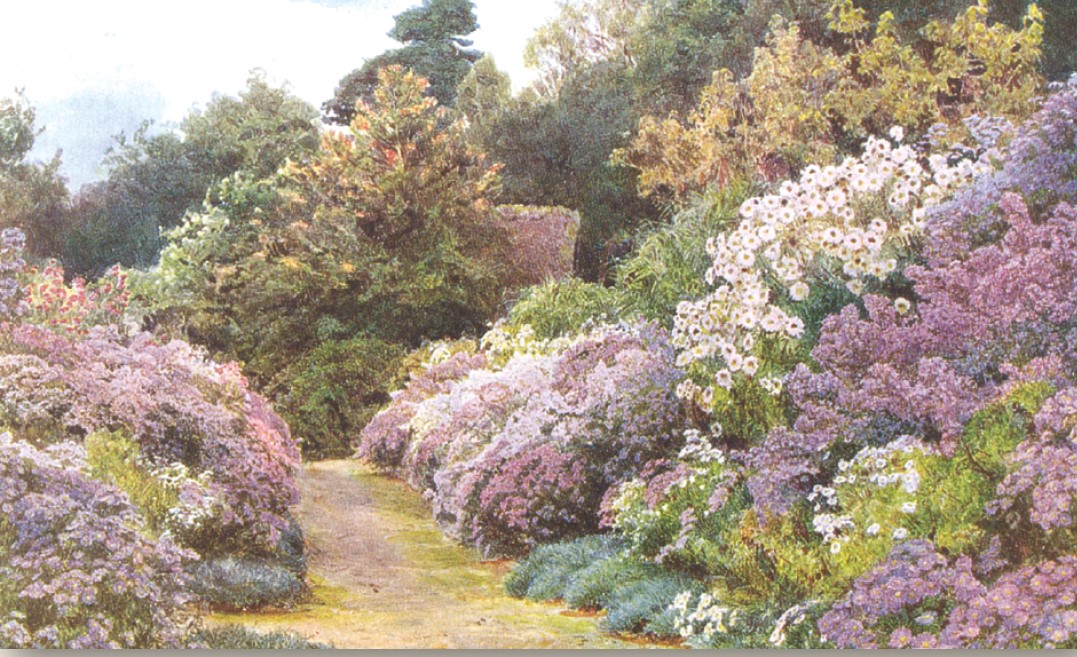 Museum Events & Exhibitions Potters Bar Museum